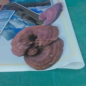 絲娟布簽名布噴畫